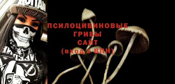 a pvp Белоозёрский