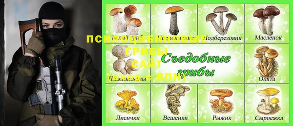 стаф Беломорск