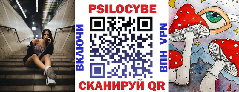 наркошоп  Купино  Галлюциногенные грибы GOLDEN TEACHER 